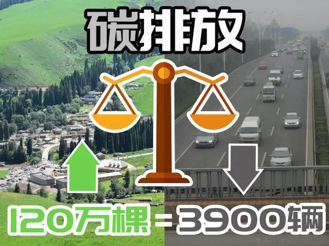 皇冠体育